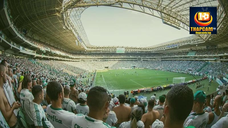 hội người hâm mộ clb palmeiras