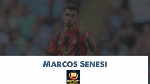 marcos senesi