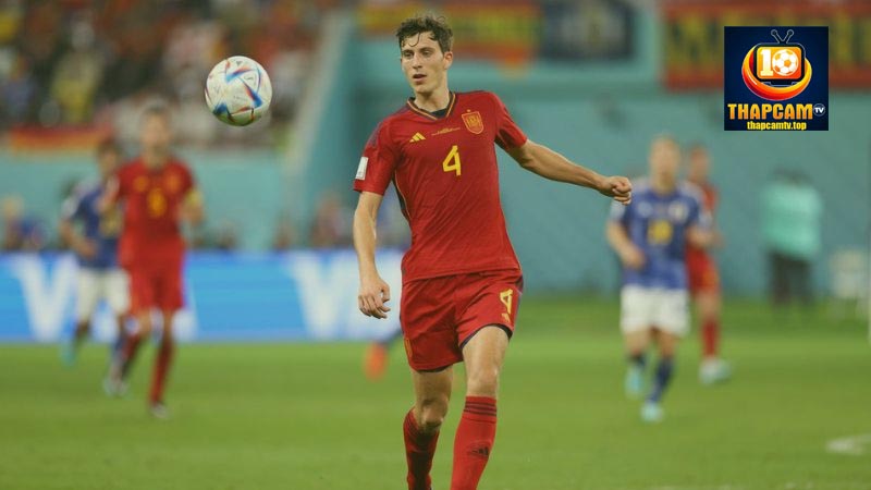những điều thú vị về pau torres