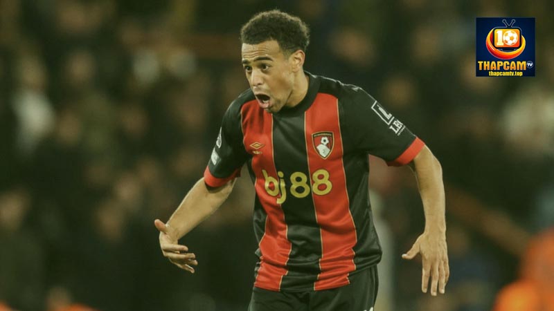 sự nghiệp clb của tyler adams