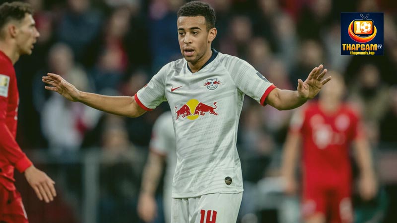 tiểu sử tyler adams