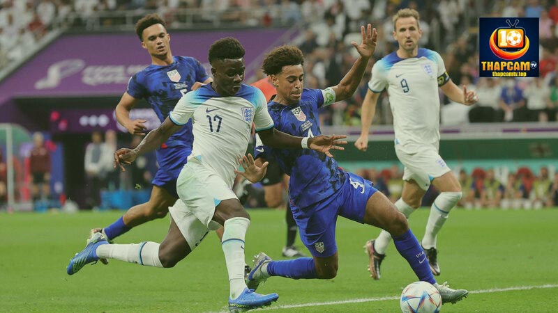 tyler adams trong màu áo đội tuyển
